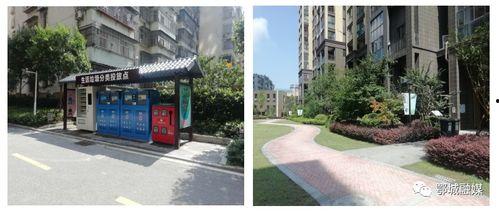 九龙小区爆料案件最新,真相背后隐藏惊人秘密